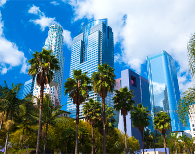 Downtown Los Angeles, high rise buildings and palm trees